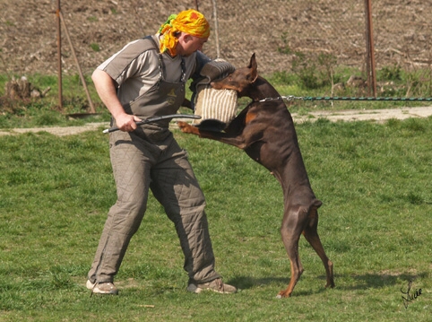 Chocolade Lehmannsfelsen - training 4. 4. 2007